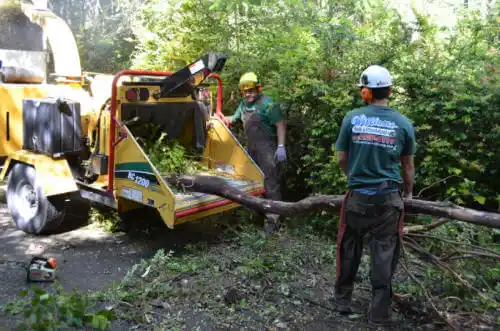 tree services Gordon